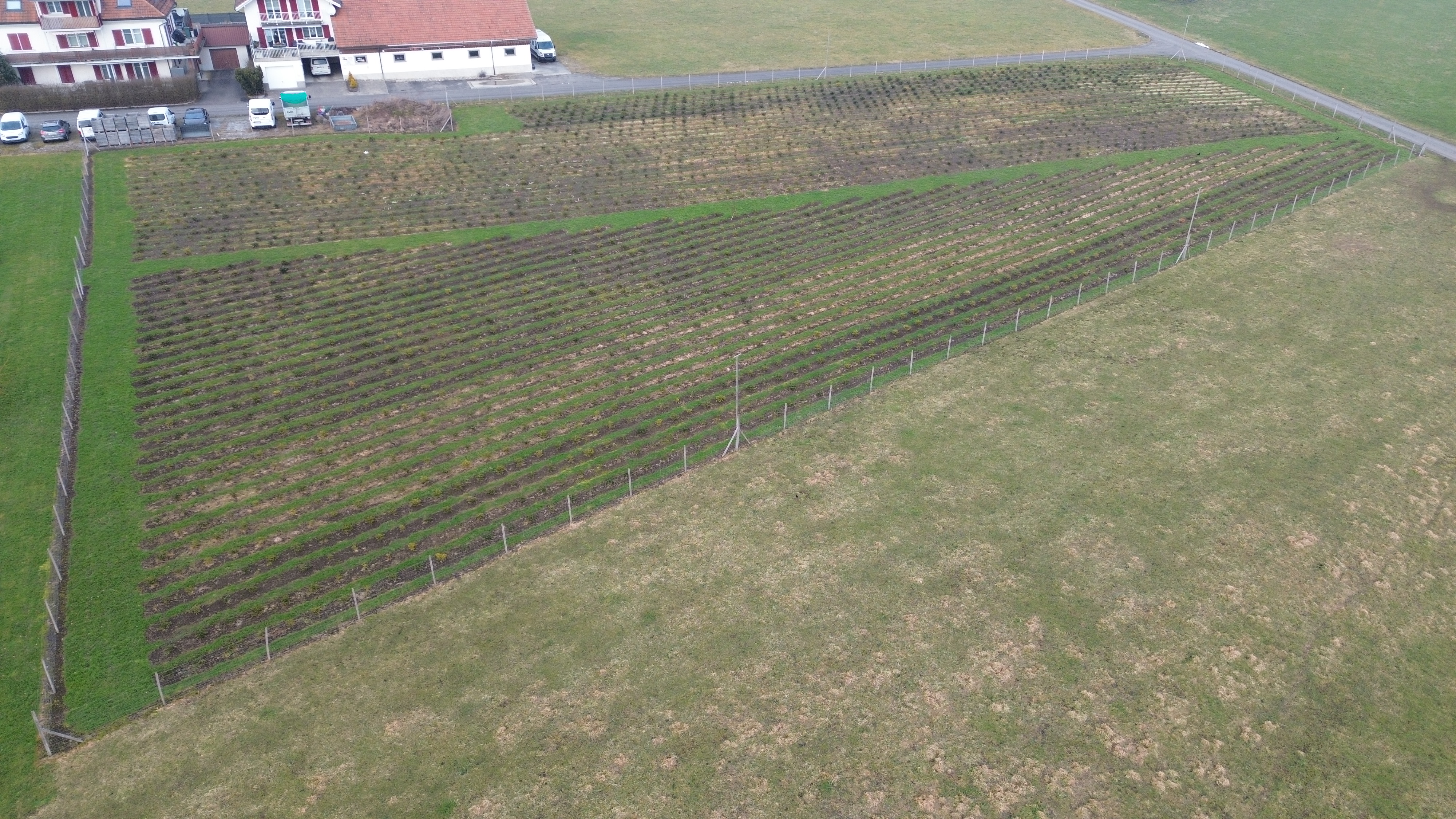 Drohnenaufnahme 0010