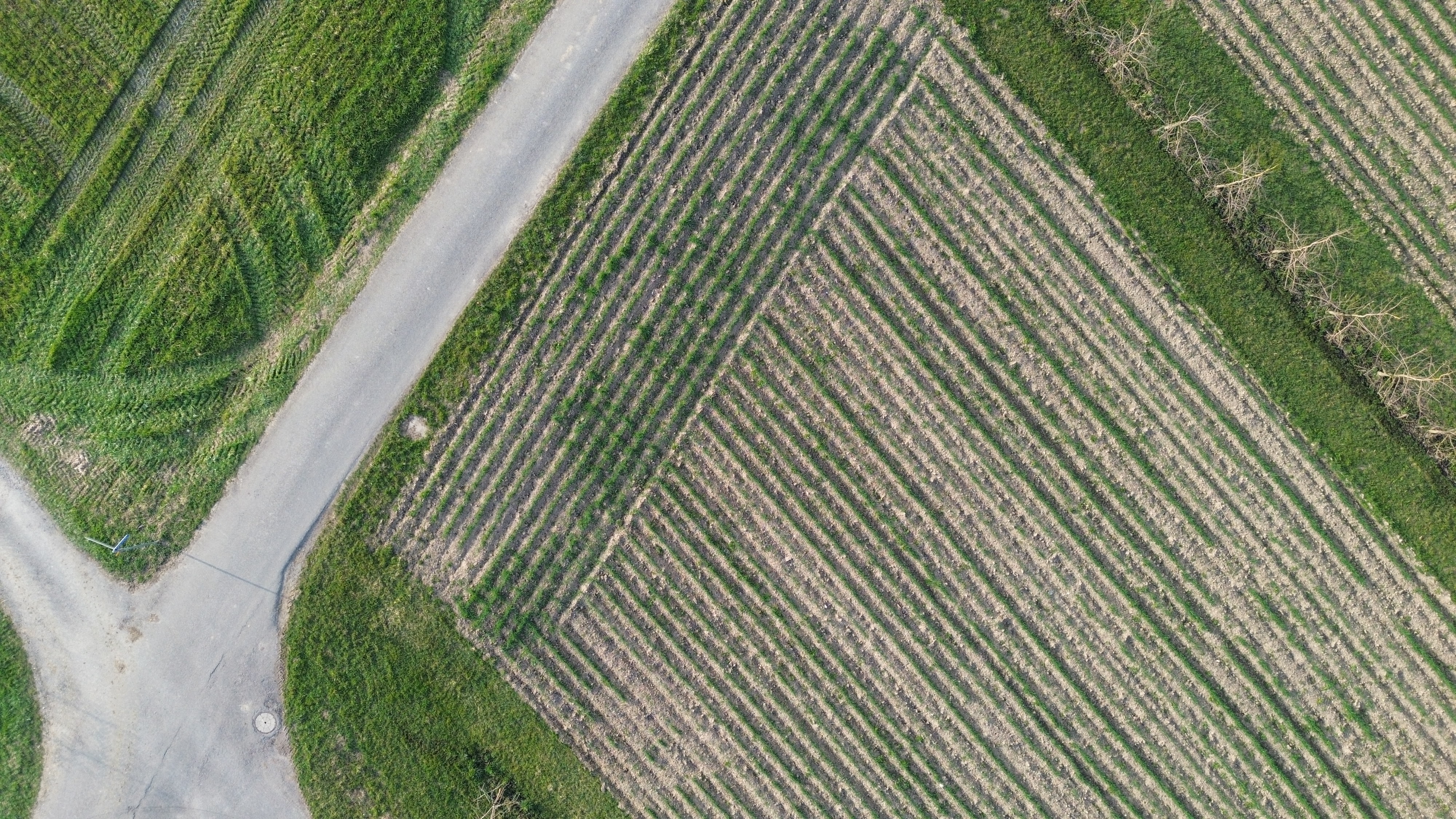 Drohnenaufnahme 0429