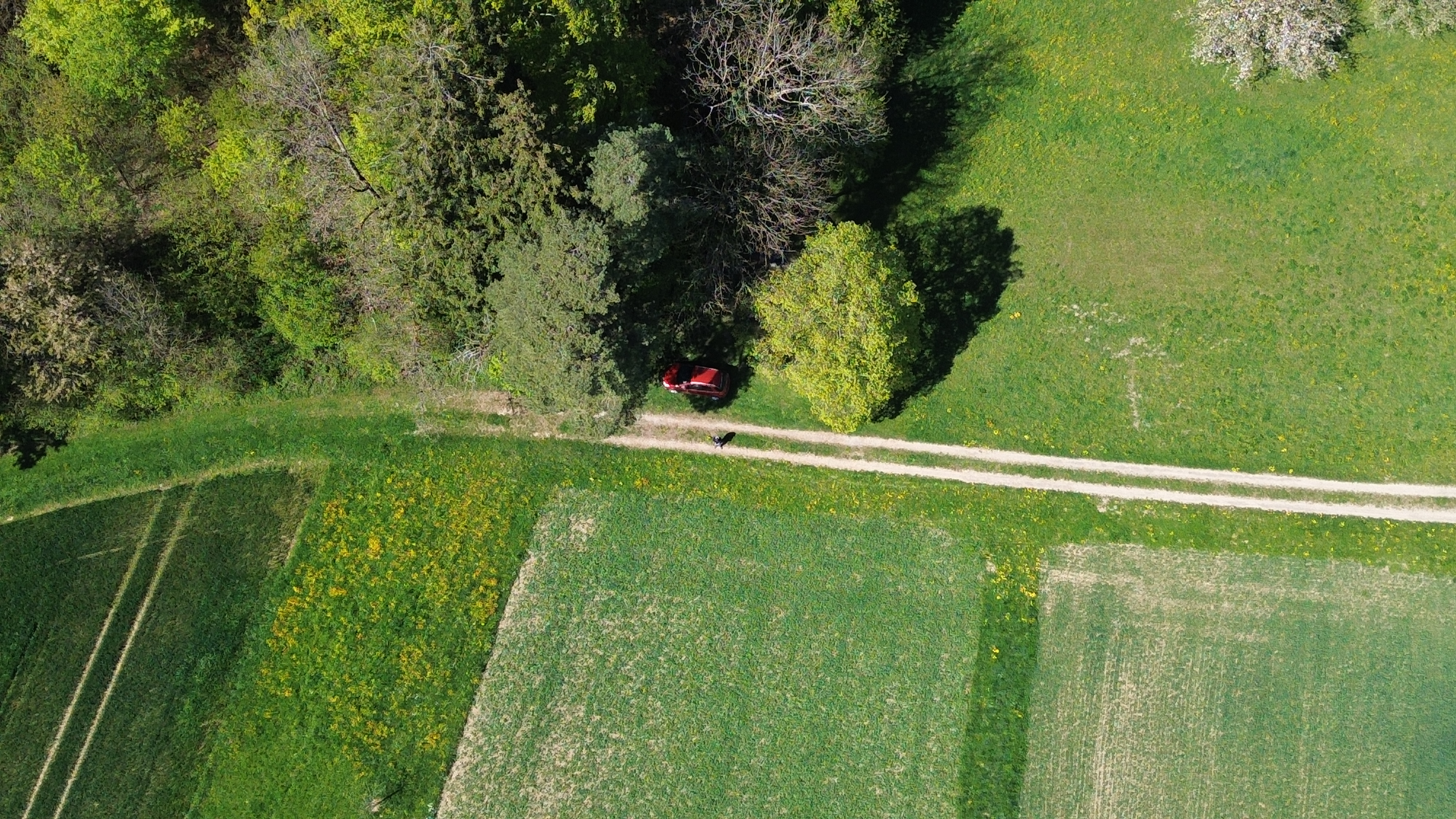 Drohnenaufnahme 0418