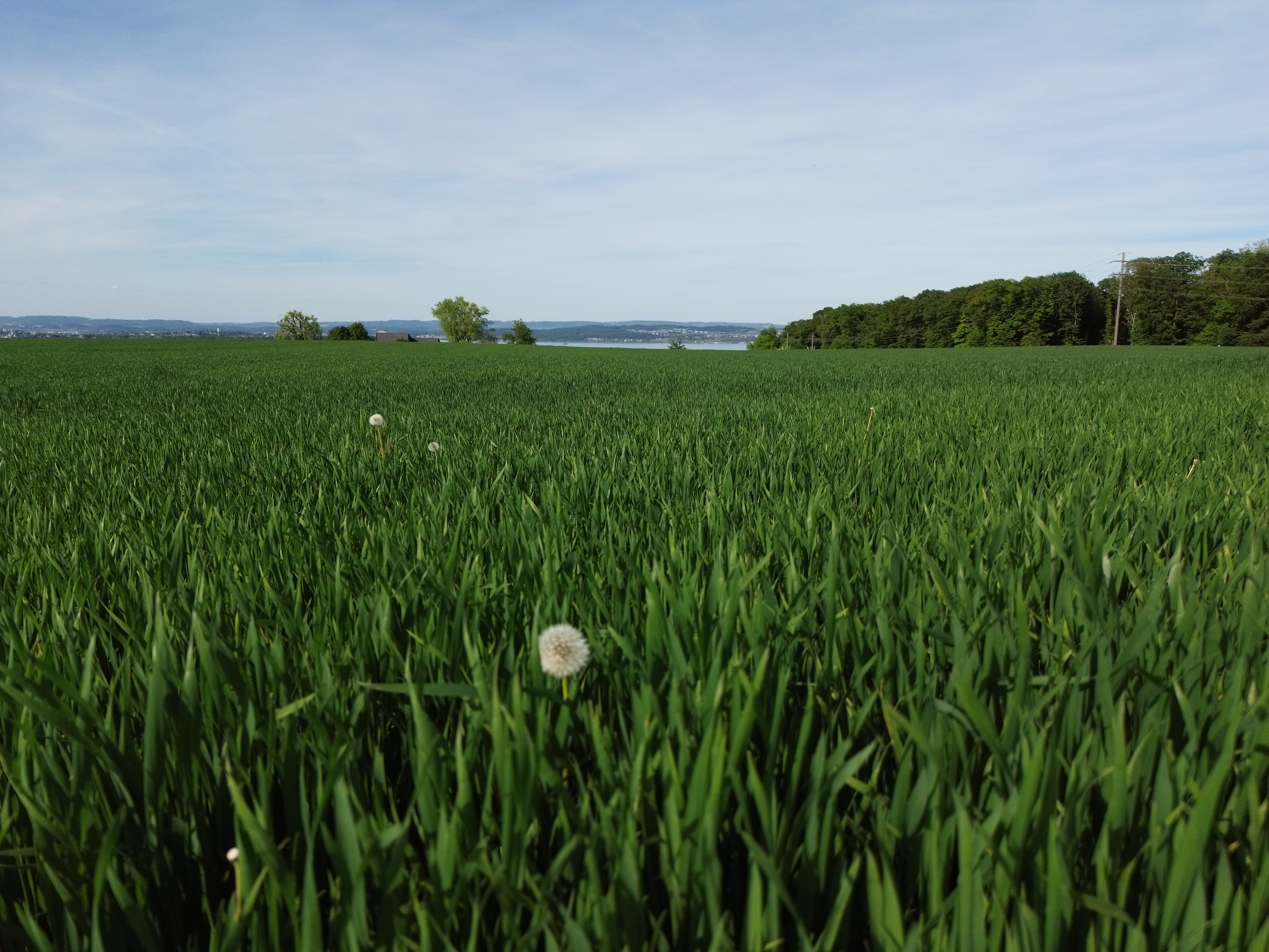 Drohnenaufnahme 0446